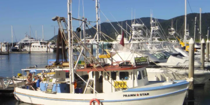 Prawn Star Cairns