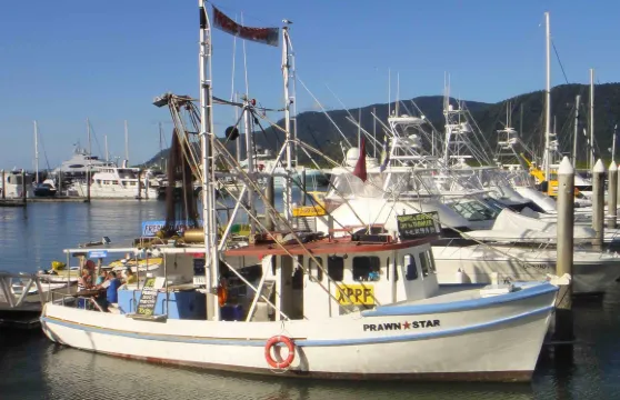Prawn Star Cairns