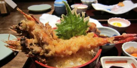 Haman Koura Hikari No Mori