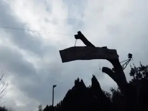 L'Oasi di Pierino