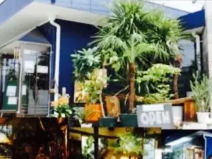 The Days Cafe
