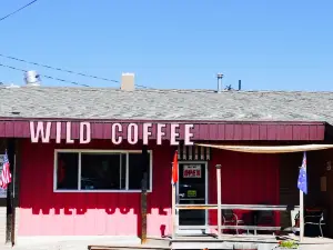 Wild Coffee