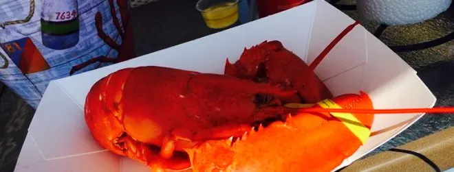 Morrison's Lobsters