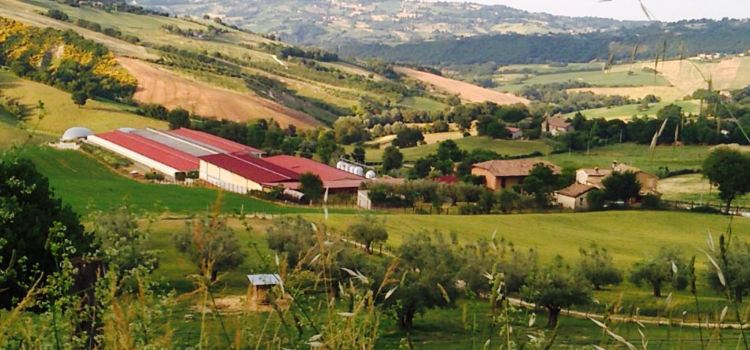 Societa Agricola Vito Celeste & C.s.s.