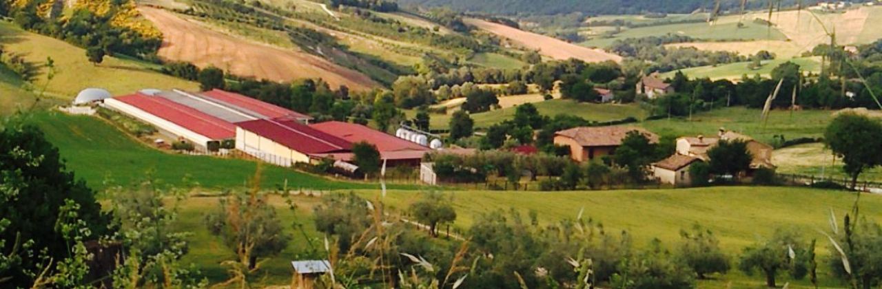 Societa Agricola Vito Celeste & C.s.s.