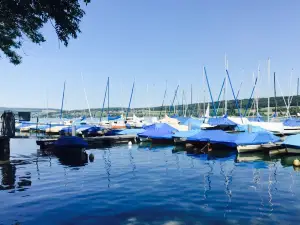 Seehotel Hallwil Mediterran Restaurant
