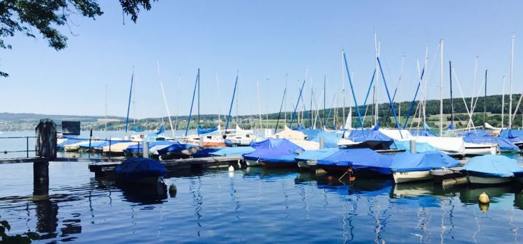 Seehotel Hallwil Mediterran Restaurant