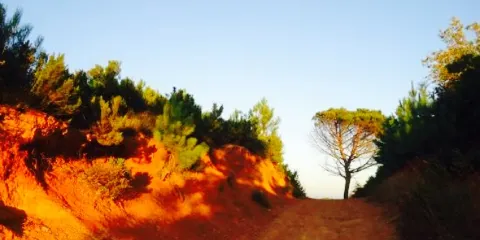 Terre Rosse