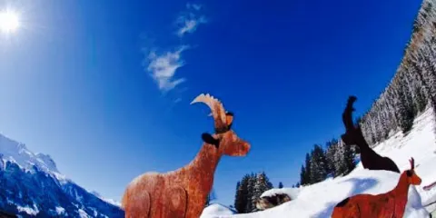 Berghaus Alpenroesli