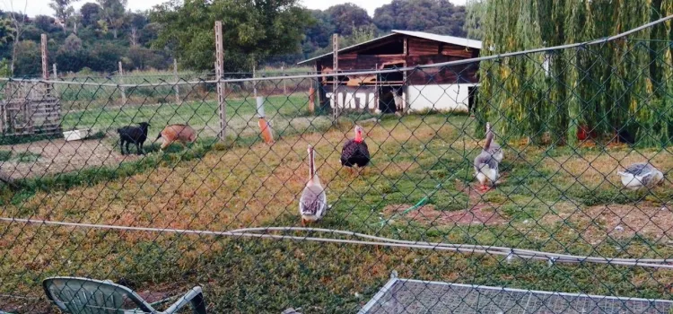 Agriturismo Il Serraglio