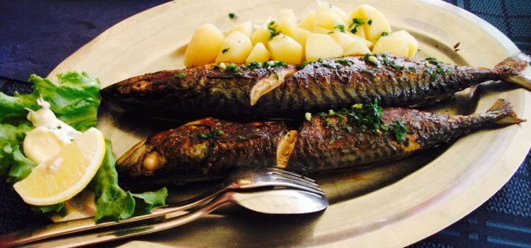 RESTAURANT DELFIN