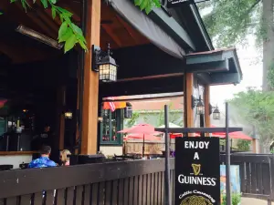 Celtic Crossing Irish Pub