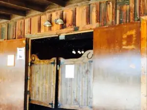 Rock Saloon & Grill