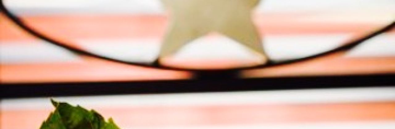 Silver Star Steak Company