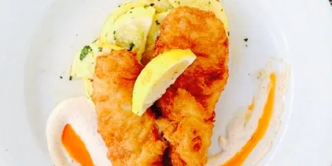 The Oyster Bar ● Seafood ● Grill ● Tavern