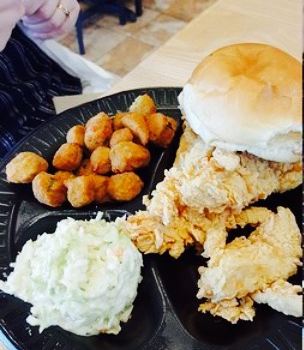 Golden Chick
