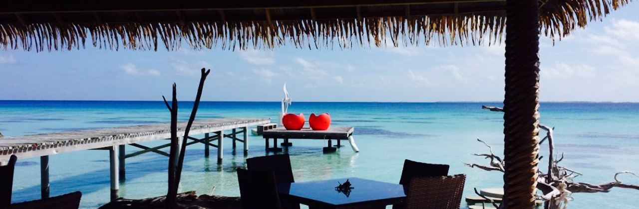 Snack Du Requin Dormeur