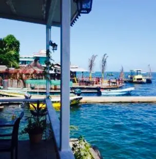 Bocas Paradise Cafe