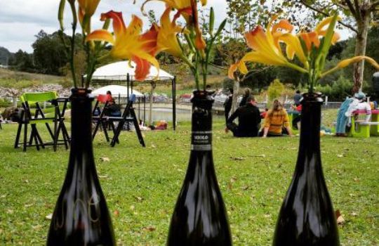 Wine Garden