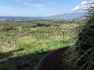 Casa Mia