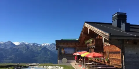 Bergrestaurant Pinzgablick