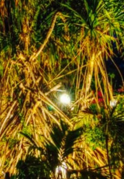 Come Back Club Watamu