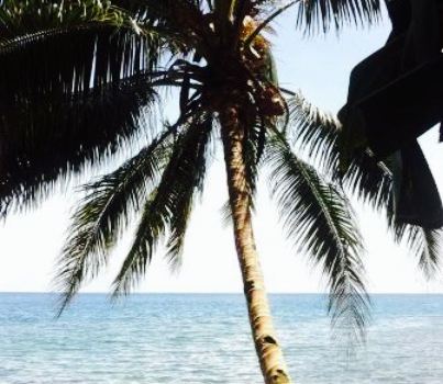 The Ofis Solomon Islands
