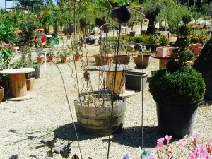 La friterie Chez Maud