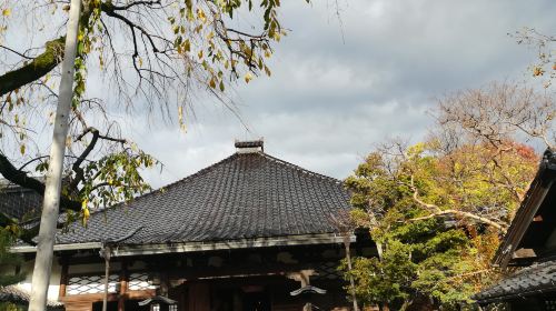 Myouryuji (Ninja Temple)