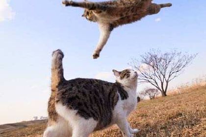 蜜雪冰城(文达店)