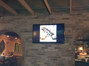 Solé Grill and Sushi Bar