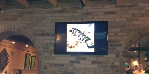 Solé Grill and Sushi Bar