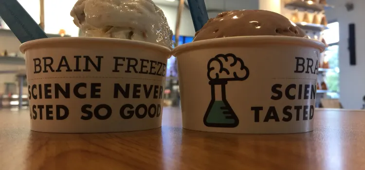 Brain Freeze Nitrogen Ice Cream & Yogurt Lab