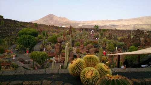 Jardin de Cactus Restaurant
