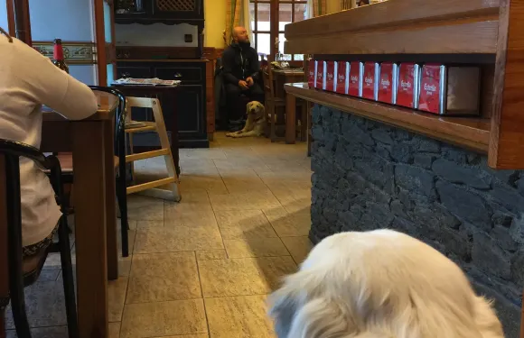 Restaurant Font Blanca