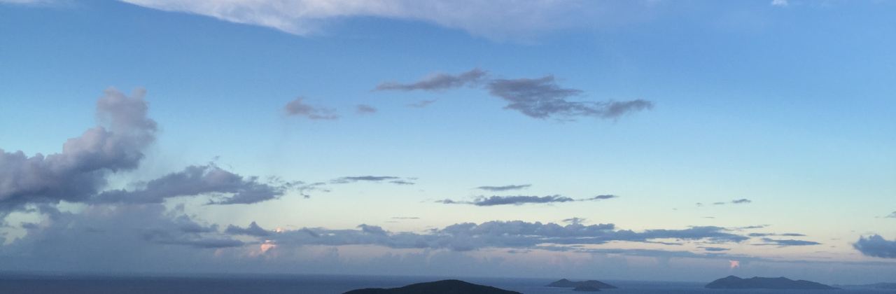 The Blue Orchid at the Greathouse