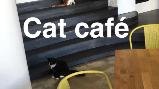 Cat Cafe Nurri