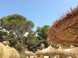 Chiringuito Cala Sa Nau