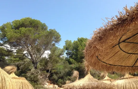 Chiringuito Cala Sa Nau