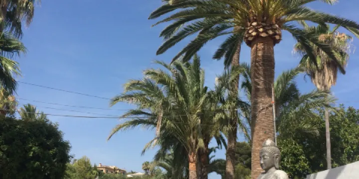 Mandala Beach Bar & Restaurant