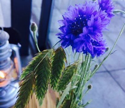 Vatten Restaurang & Kafe