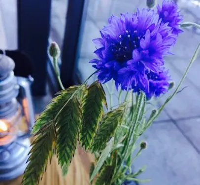 Vatten Restaurang & Kafe