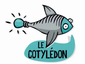 Le Cotyledon