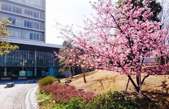 Shunsai Kobo Fukufuku