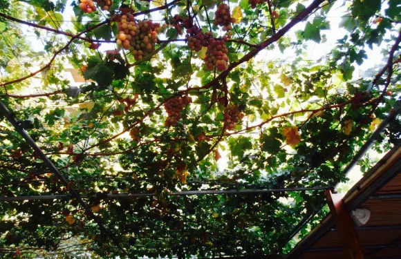 Nama Tavern Restaurant