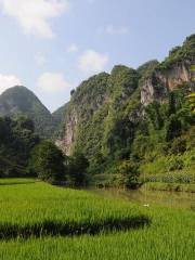 Monkey Rock Climbing Scenic Area