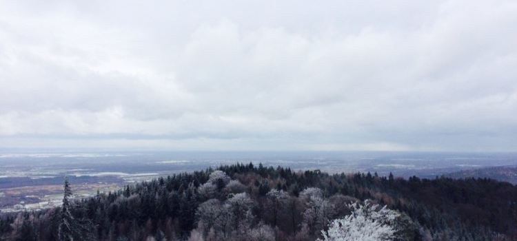 Waldgaststätte Turm Fremersberg