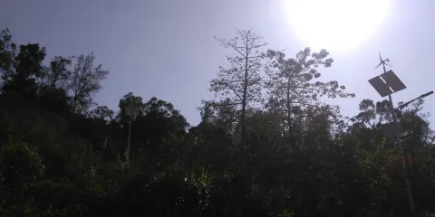 南澳自然田