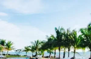 SALT Beach Bistro