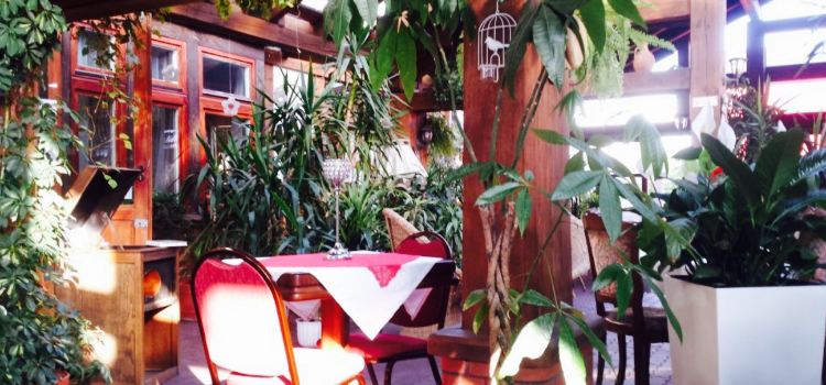 Amida Restauracja